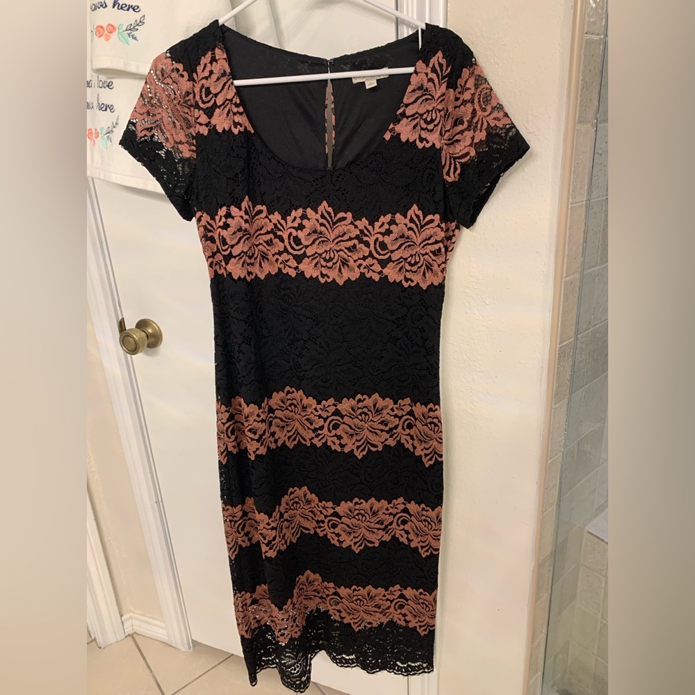 Eva Mendes New York & Company Lace Lined Pink/Black Dress Hook Closure Size 10